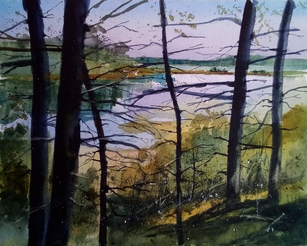 Tidal Rhythms Through the Woods