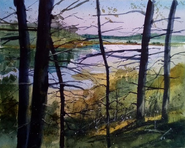 Tidal Rhythms Through the Woods