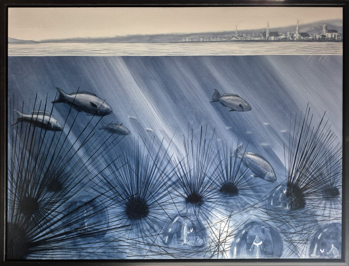 The Secret of the Sea Urchins