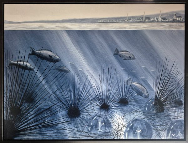 The Secret of the Sea Urchins