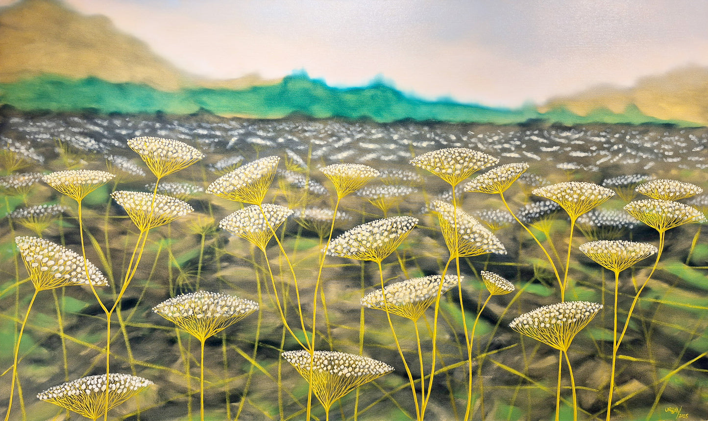 White Disks Floating