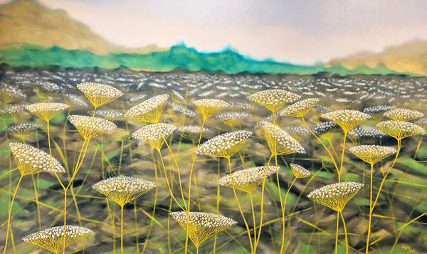 White Disks Floating