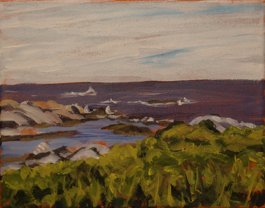 View from Peggy's Cove