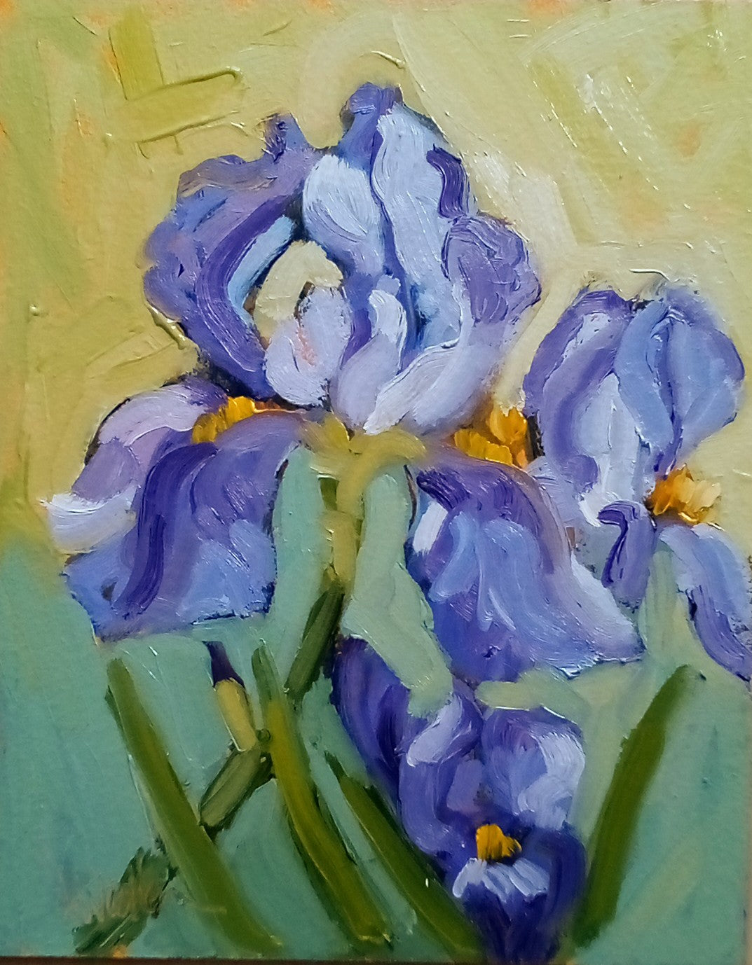 Blue Iris