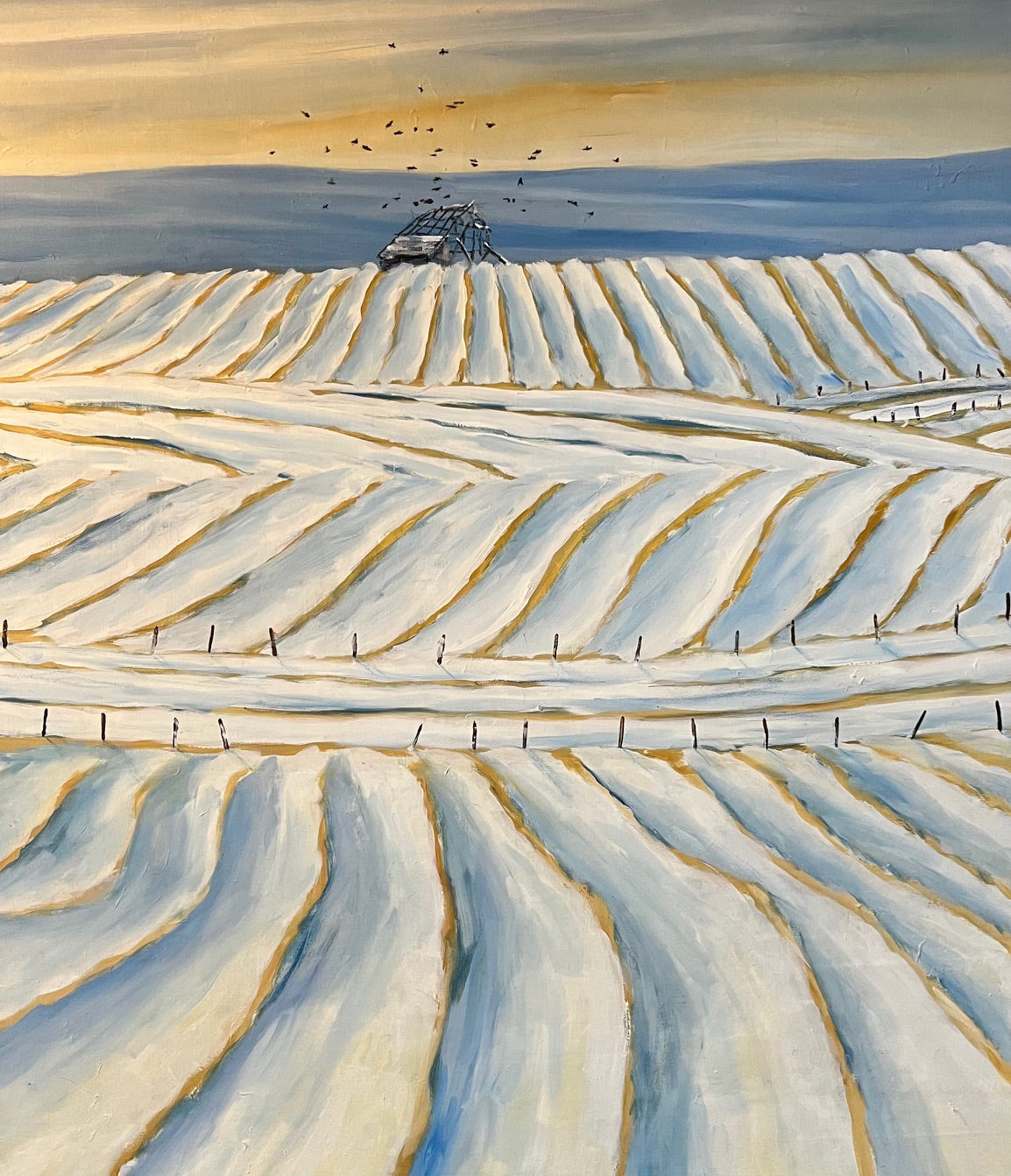 Swaths in Early Snow