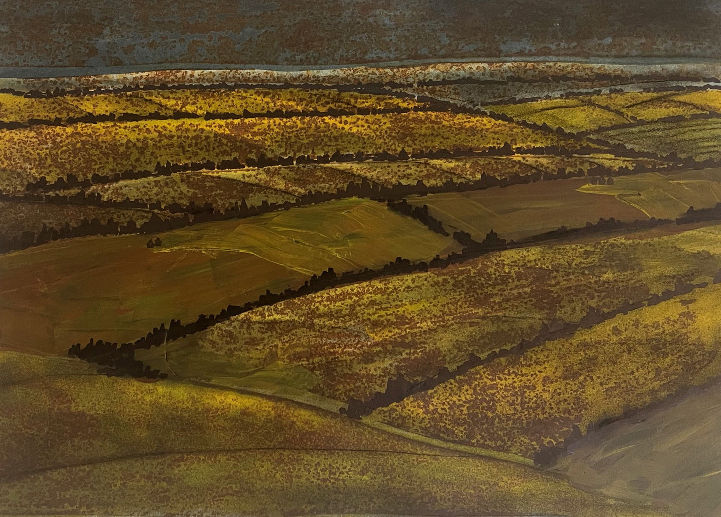 Valley Light & Shadow #22