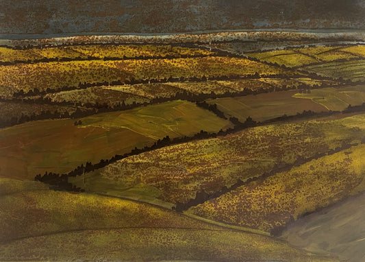 Valley Light & Shadow #22