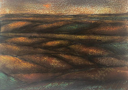 Valley Light & Shadow #23