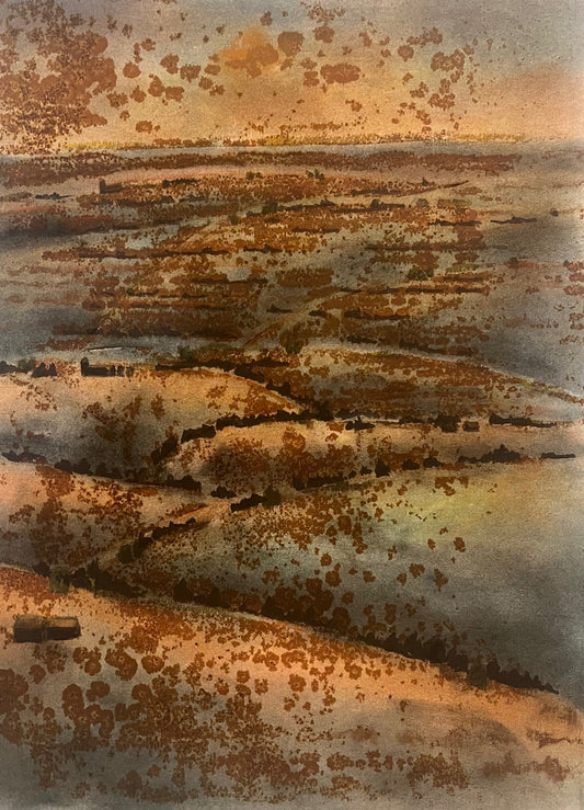 Valley Light & Shadow #21
