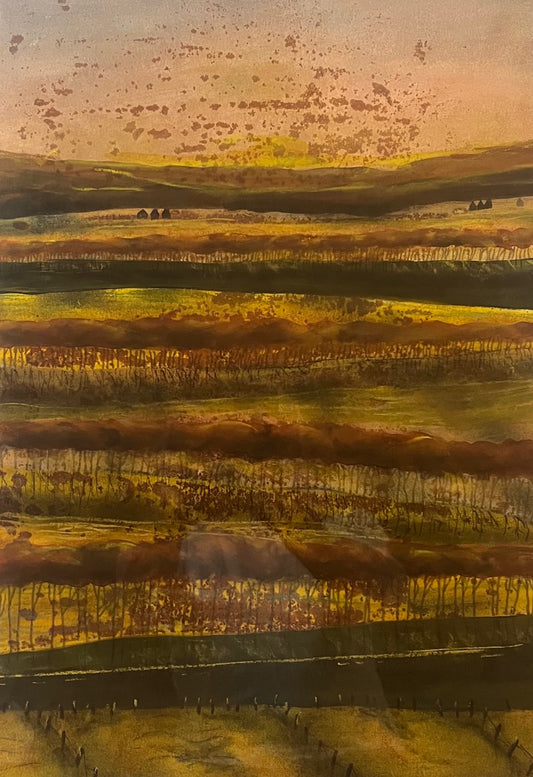 Valley Light & Shadow #25