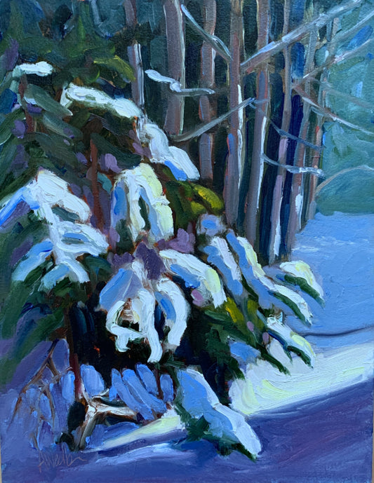 Little Fir in the Snow