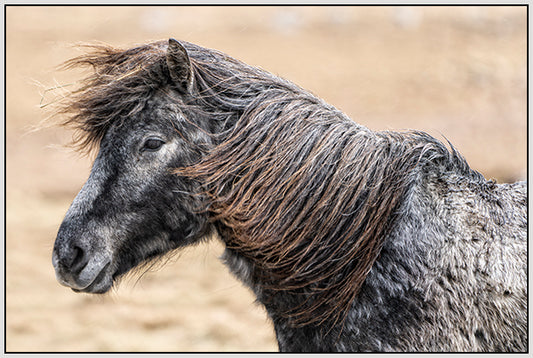 Wind Blown