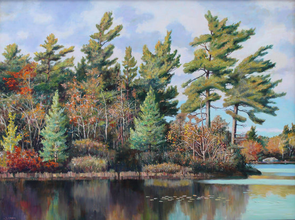 Pine Trees by the Lake
