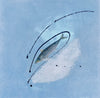 Scomber scrombus (Atlantic Mackerel)
