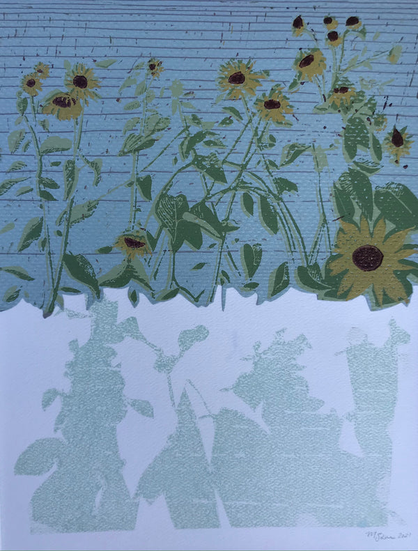 A Sunflowers Shadow