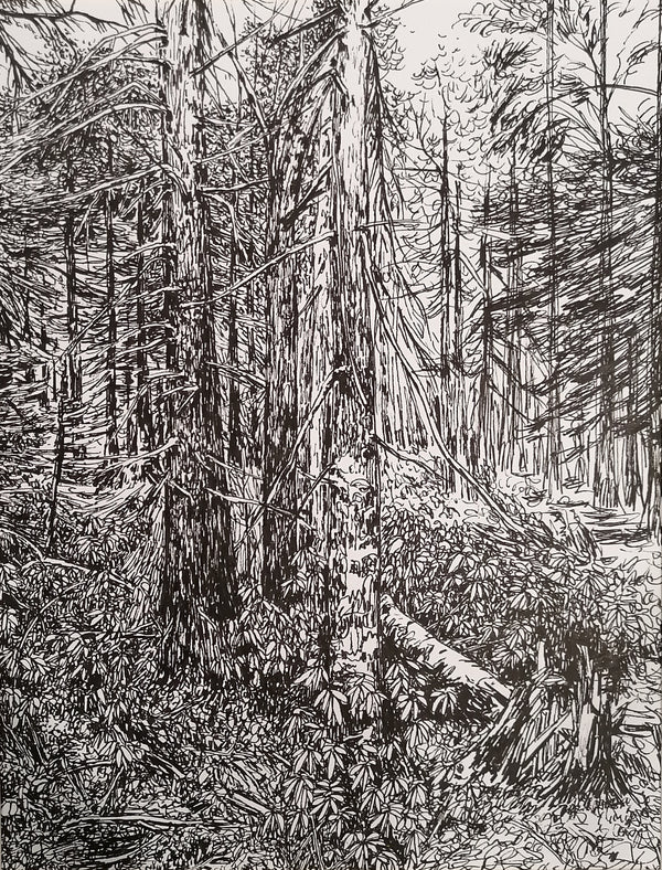 Hide in the Woods