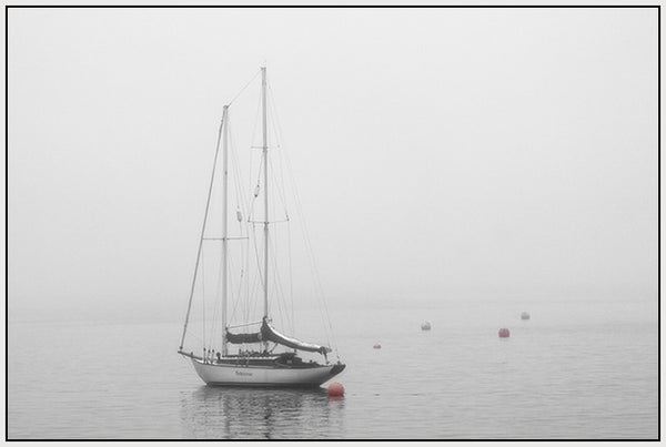 Chester Fog #2 1/50